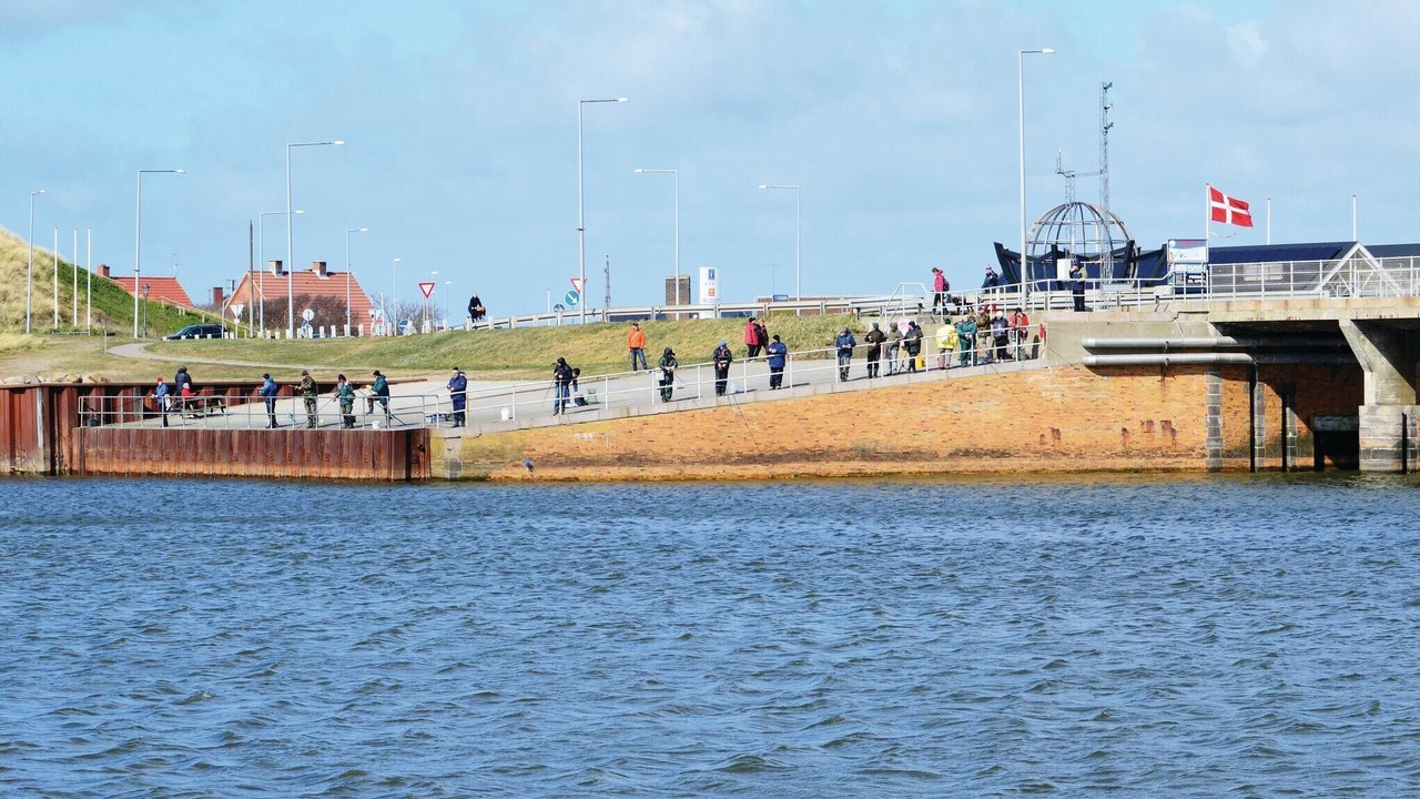 Photo of Others in Nørre Lyngvig