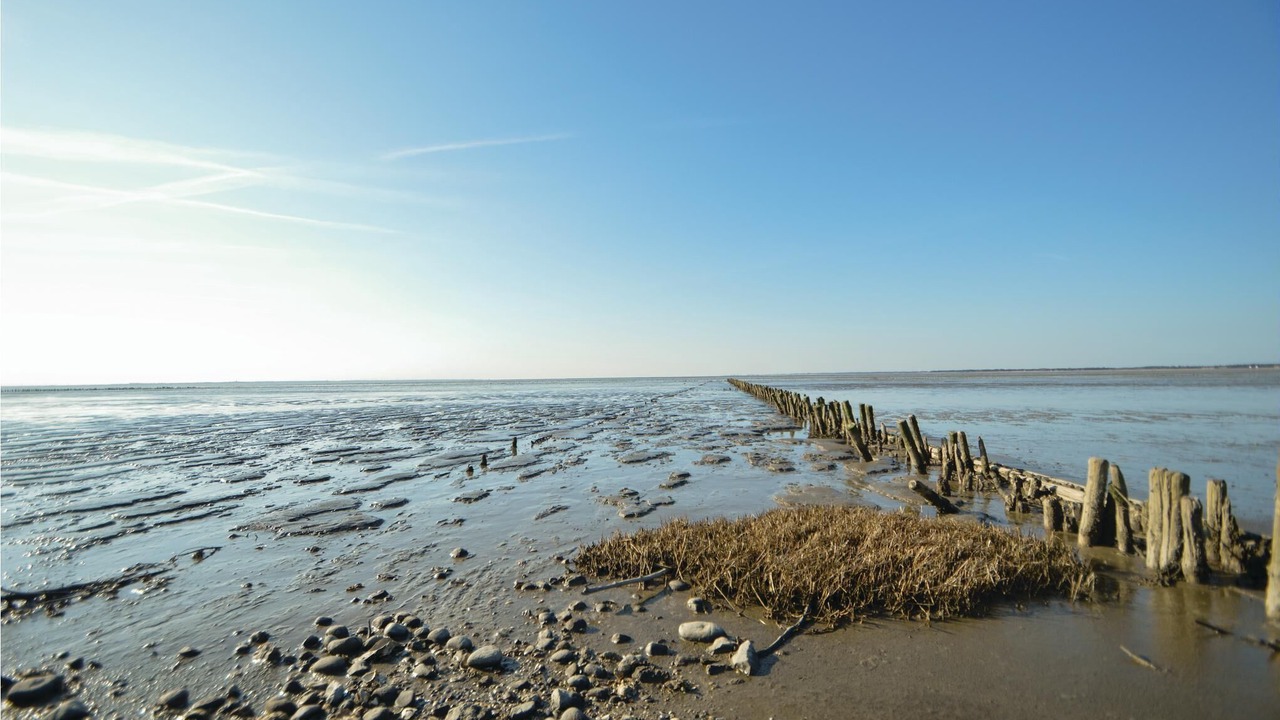 Photo of Others in Sønderstrand