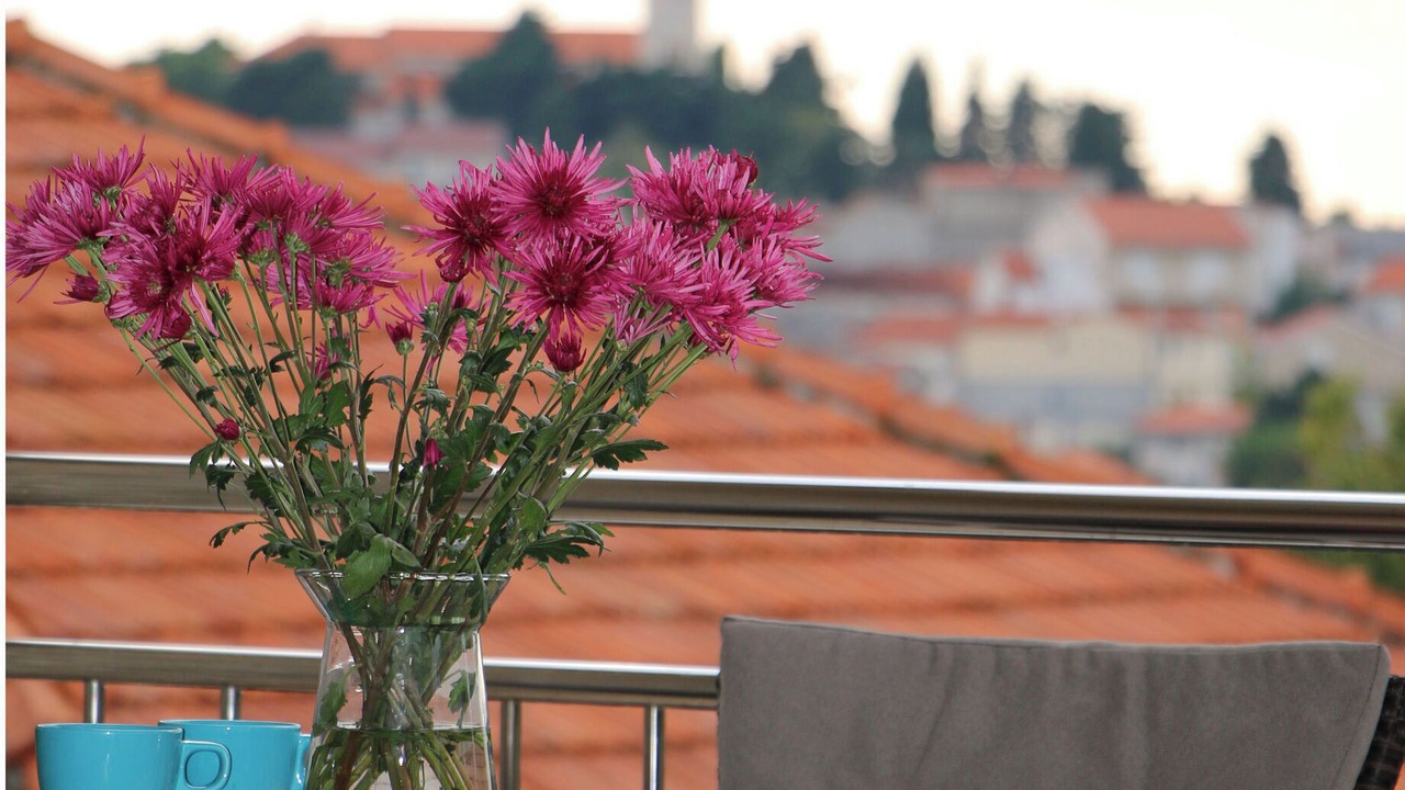 Photo of Outdoor in Primosten
