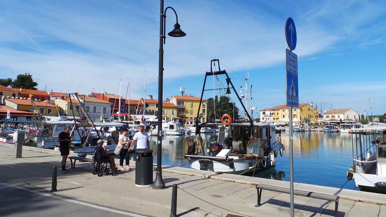Photo of Others in Petrcane
