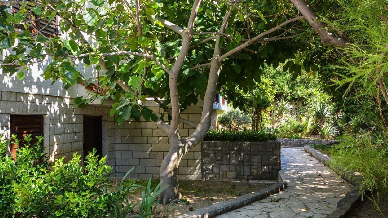 Photo of Outdoor in Kosljun