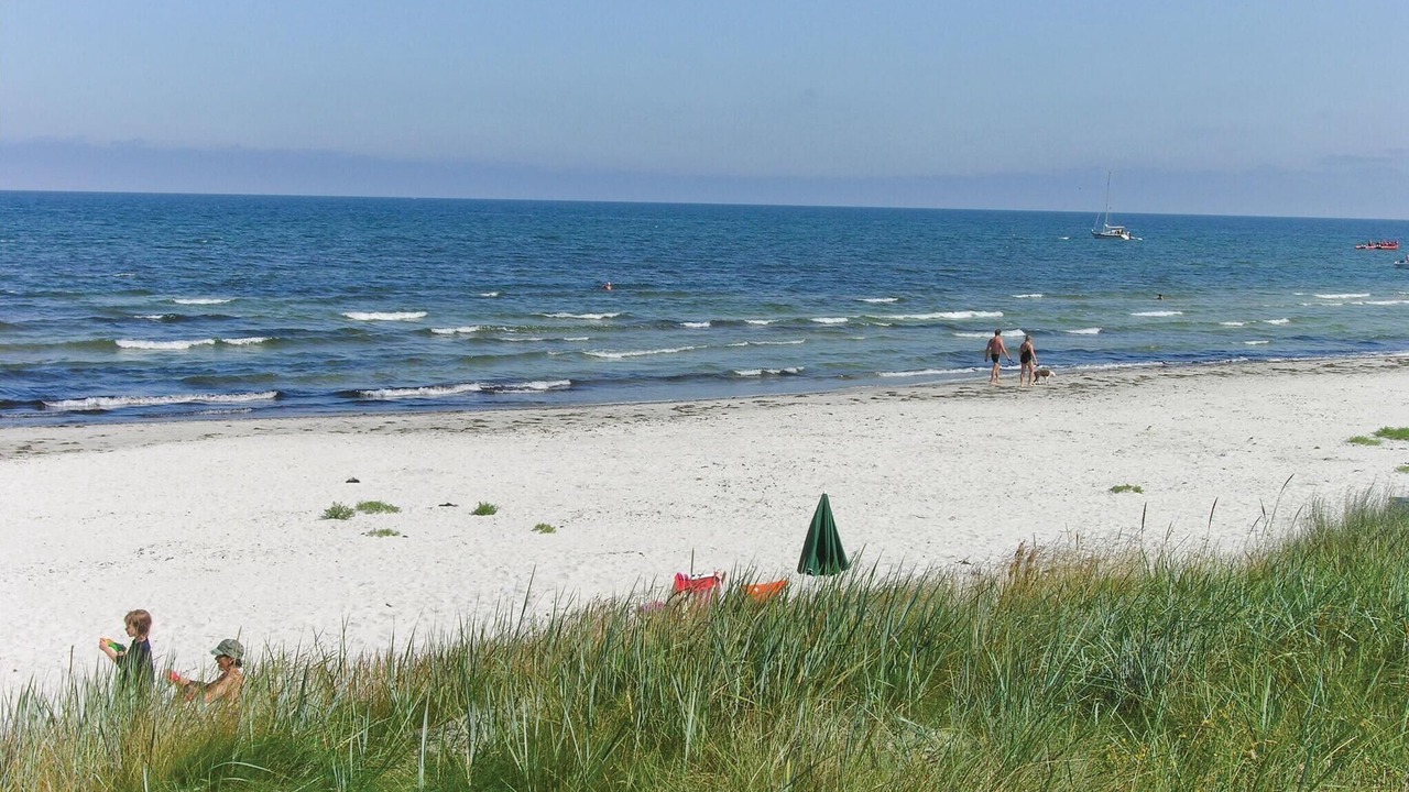 Photo of Others in Hasle