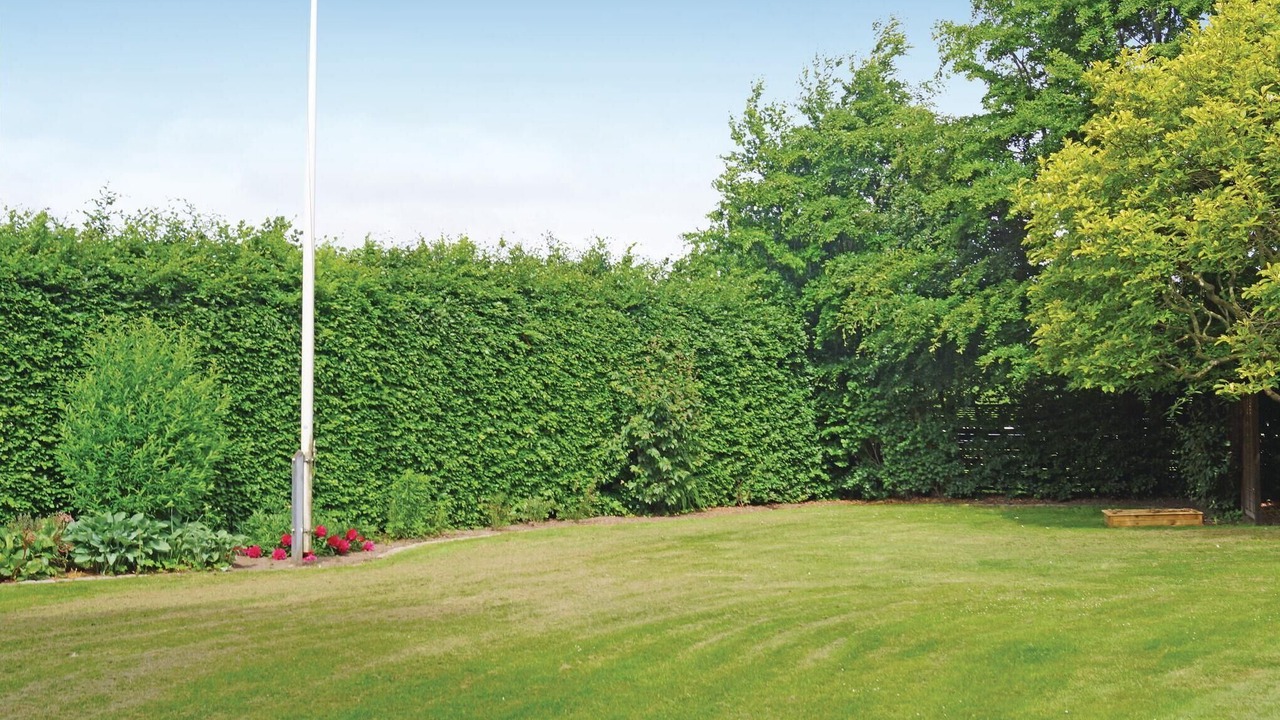 Photo of Others in Middelfart