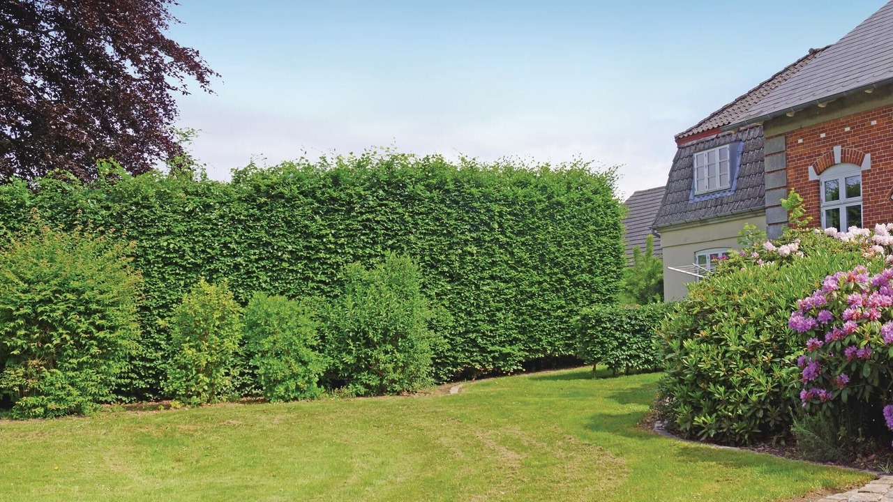 Photo of Others in Middelfart