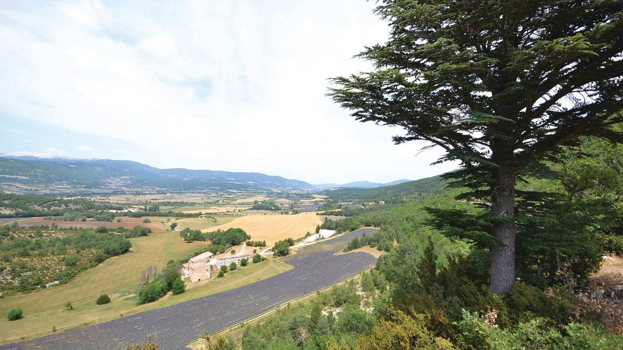 Photo of Others in Maubec