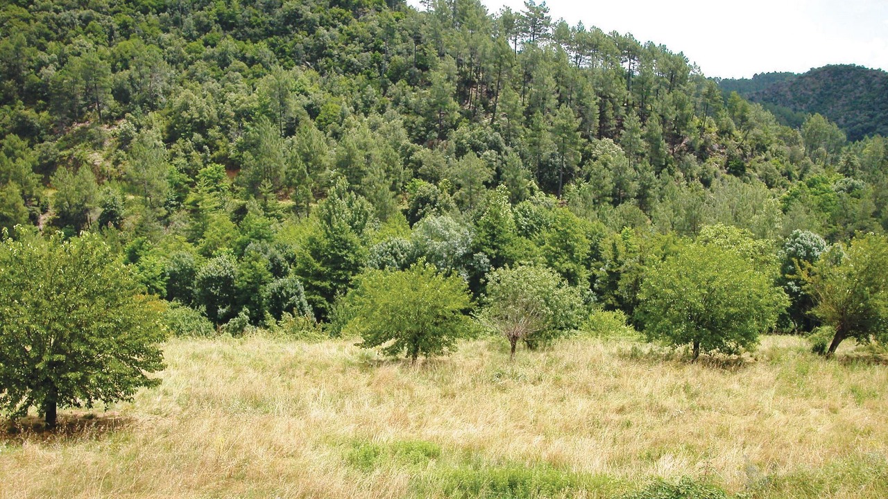 Photo of Others in Peyremale