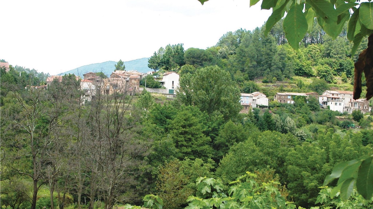 Photo of Others in Peyremale