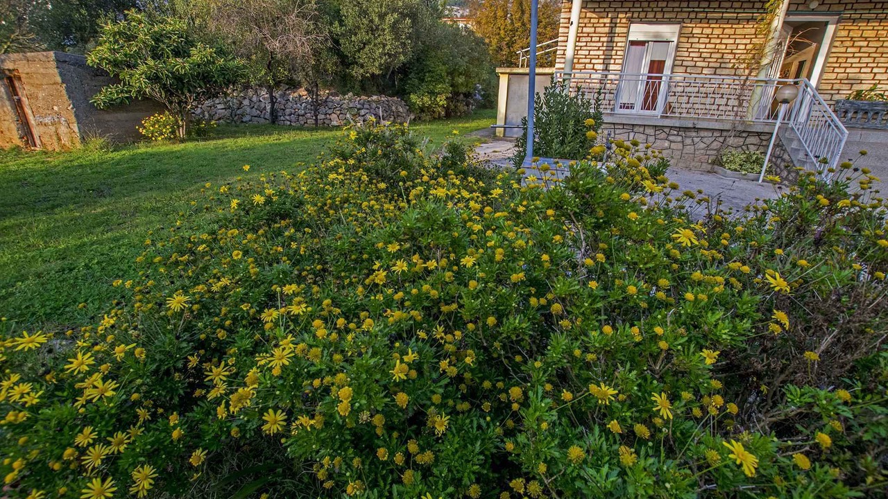Photo of Outdoor in Starigrad