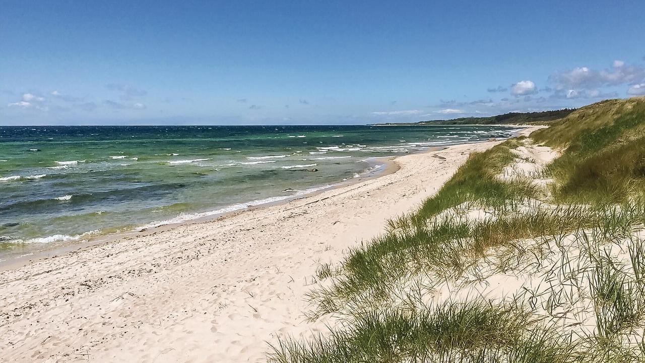 Photo of Others in Sømarken