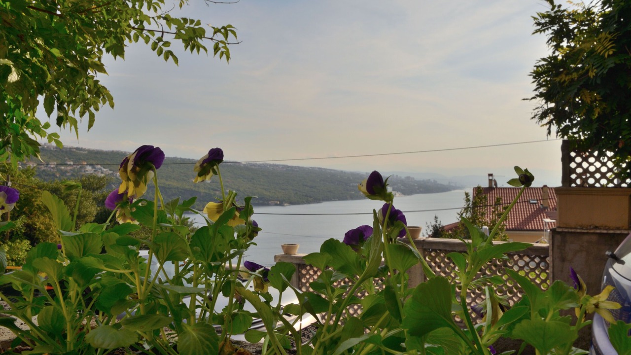 Photo of Outdoor in Volosko