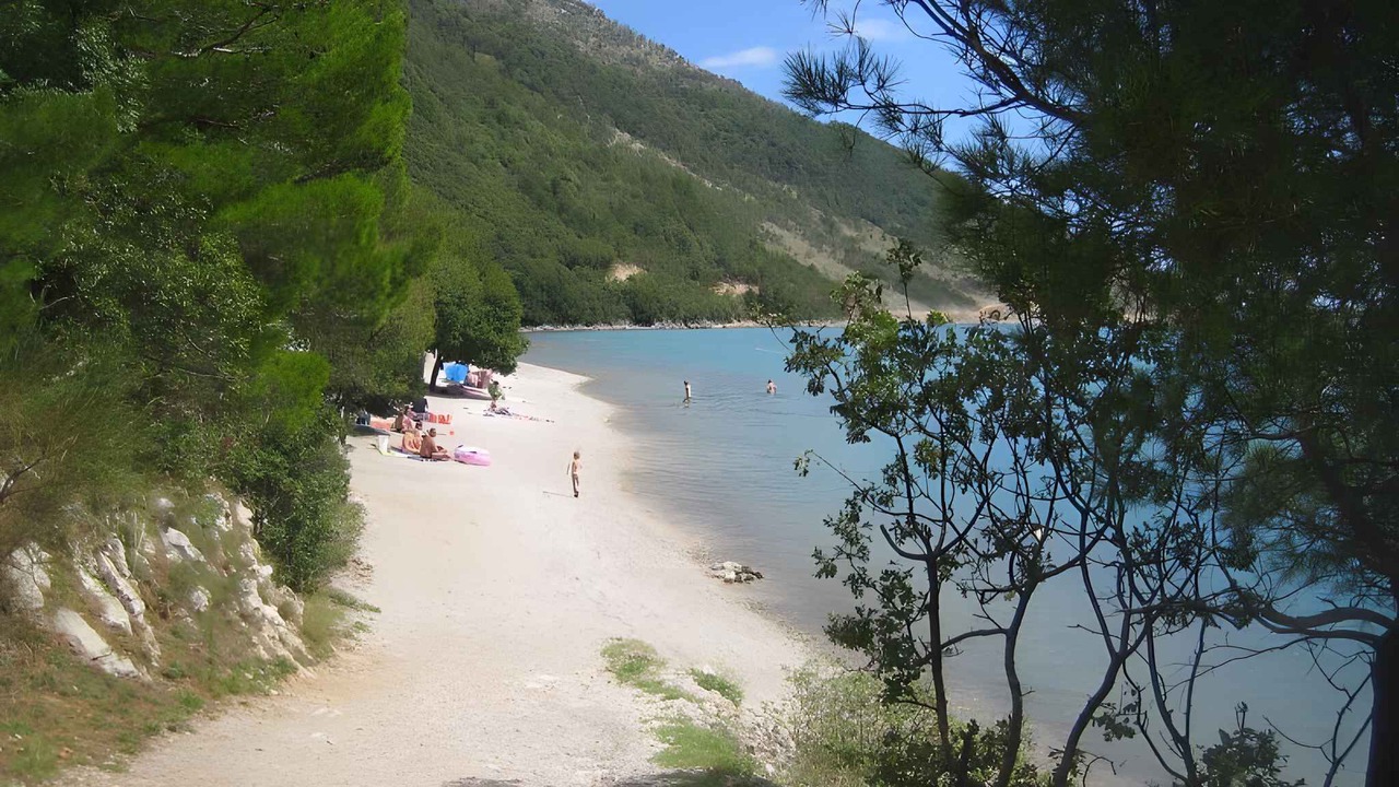 Photo of Others in Plomin