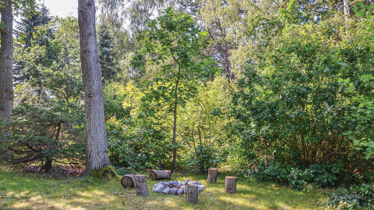 Photo of Others in Udsholt Sand