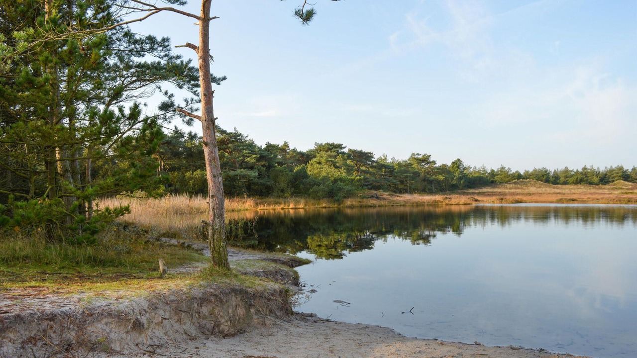 Photo of Others in Kongsmark
