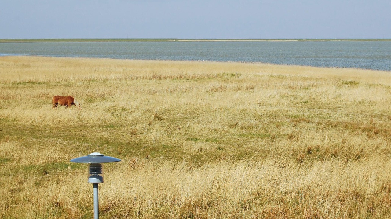 Photo of Others in Kongsmark