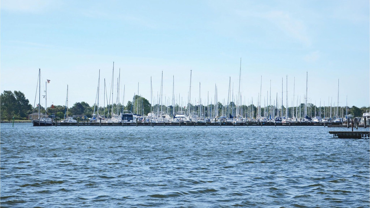 Photo of Others in Assens