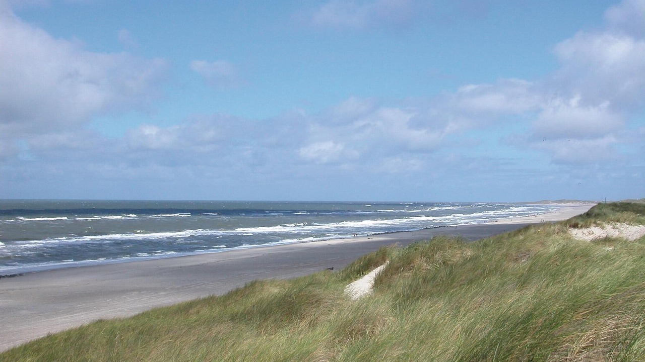 Photo of Others in Haurvig