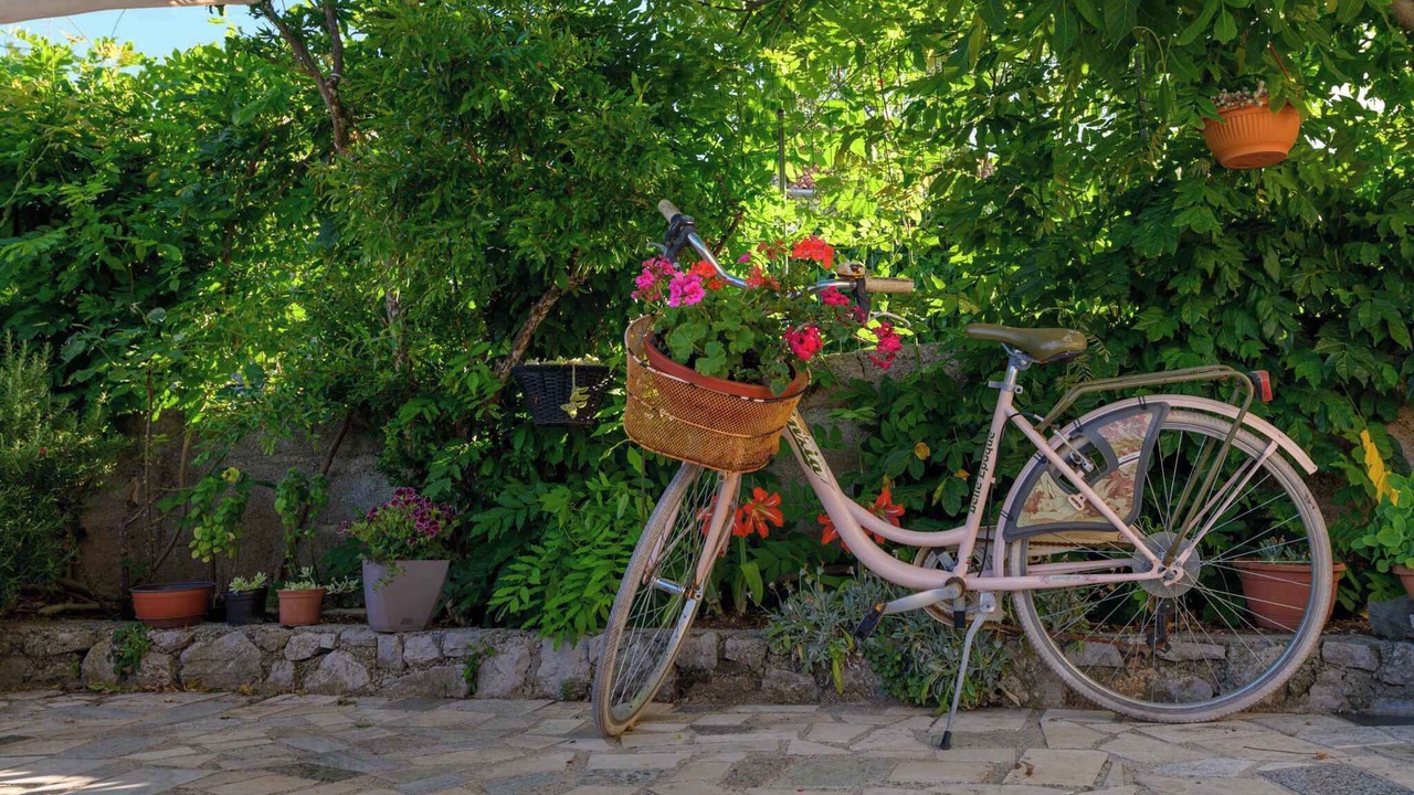 Photo of Outdoor in Veli Losinj