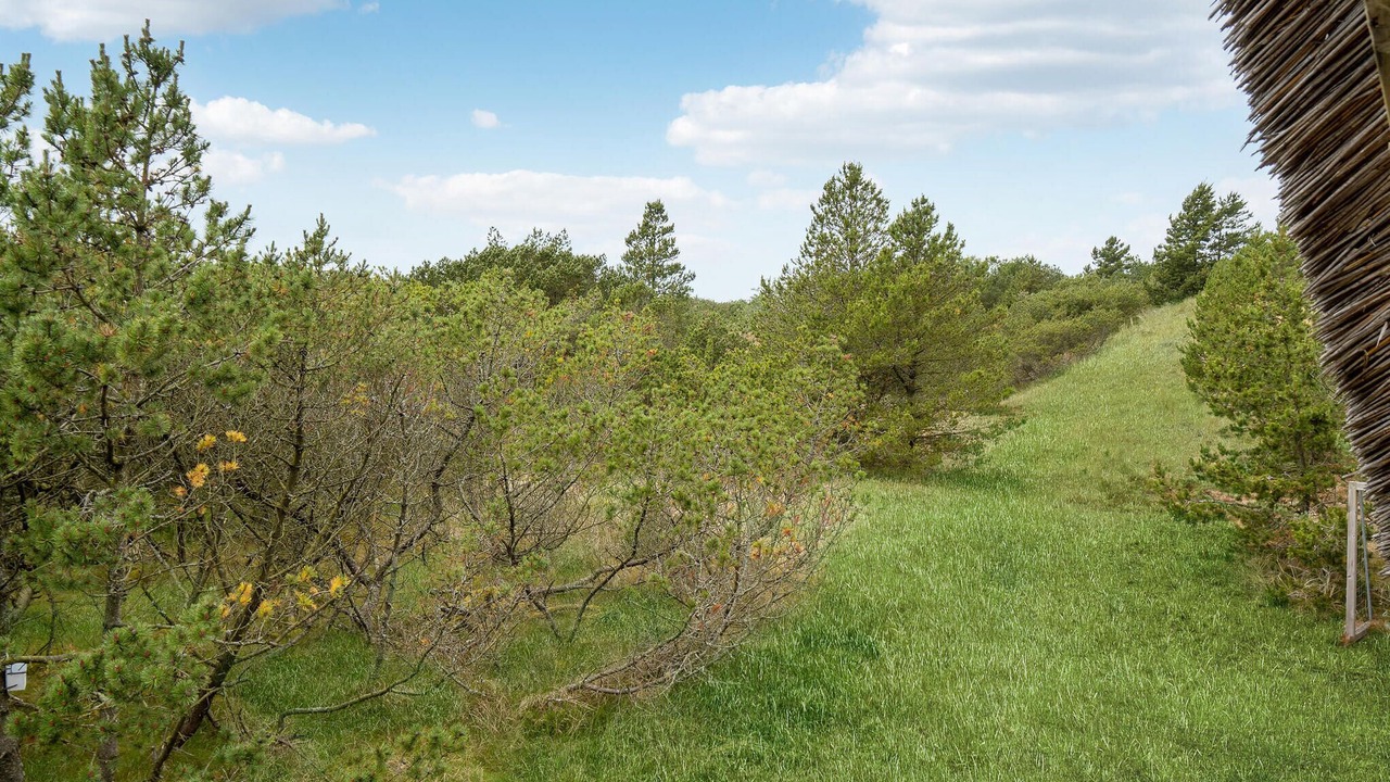 Photo of Outdoor in Blavand