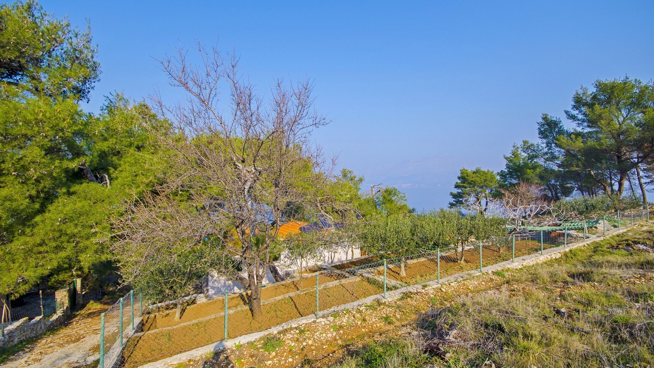 Photo of Outdoor in Praznica
