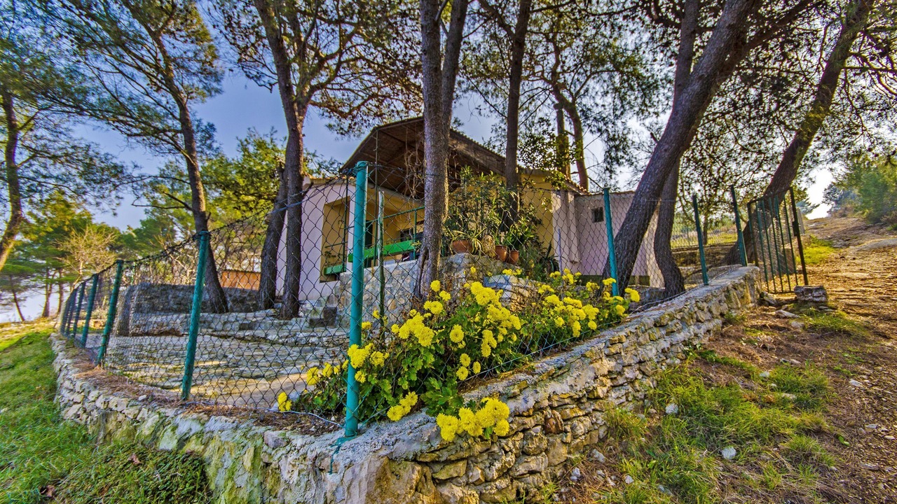 Photo of Outdoor in Praznica