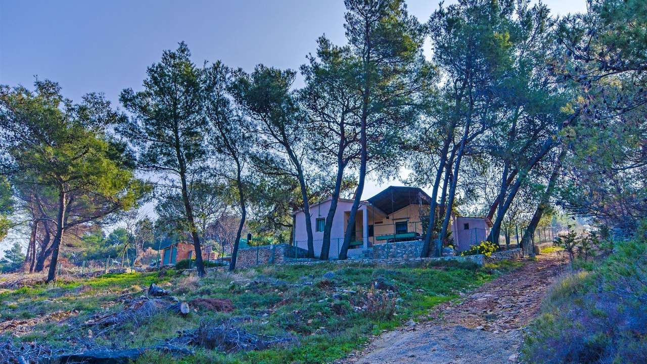 Photo of Outdoor in Praznica