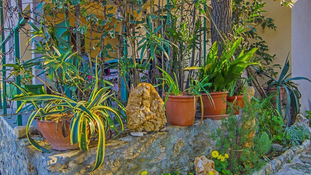 Photo of Outdoor in Praznica