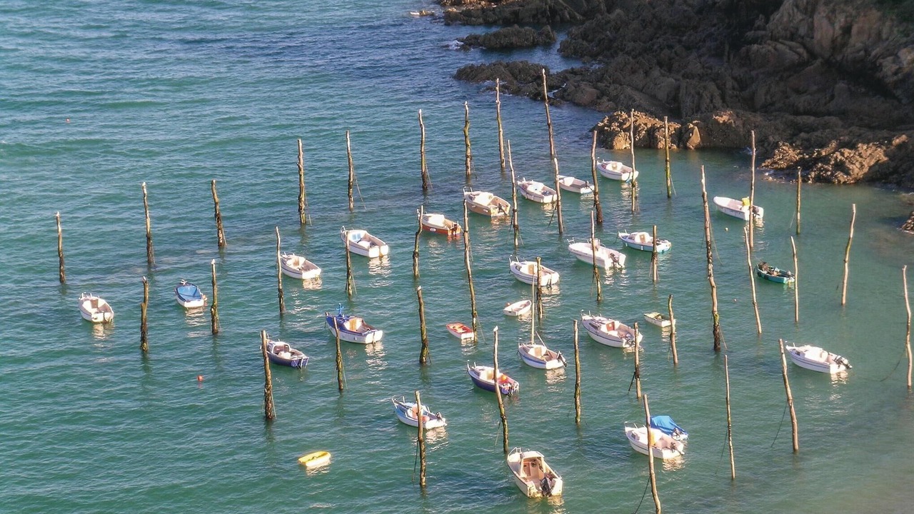 Photo of Others in Plouha
