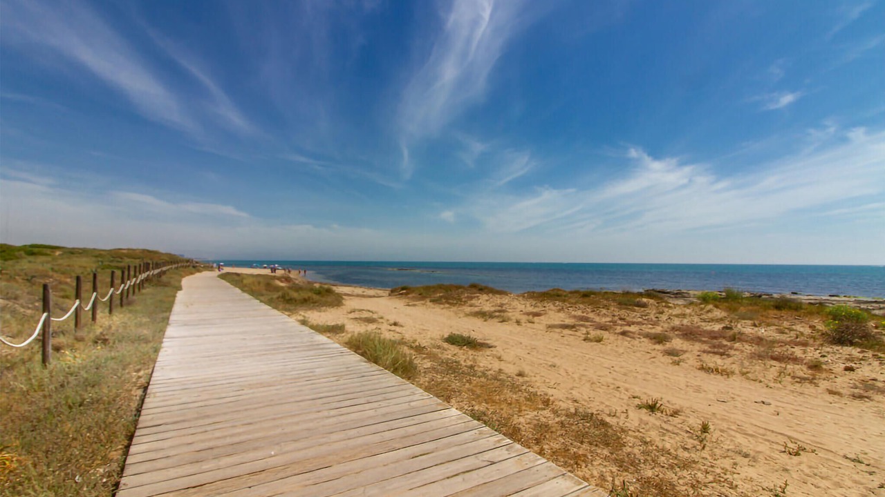 Photo of Others in La Mata