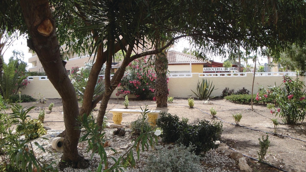 Photo of Others in La Mata