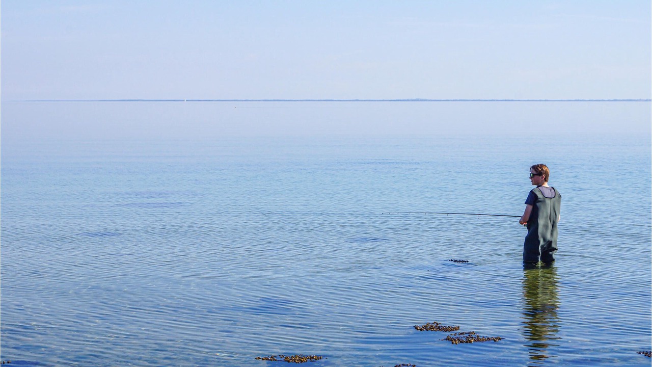 Photo of Others in Kelstrup