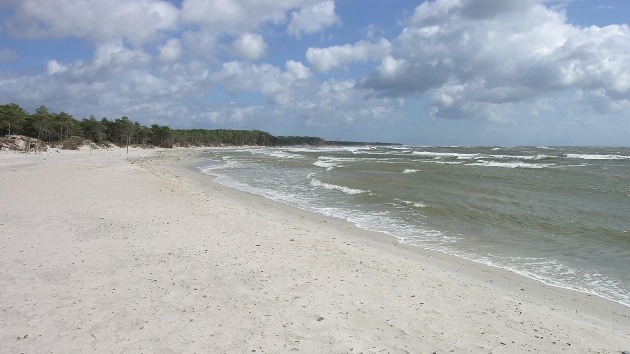 Photo of Others in Hasle