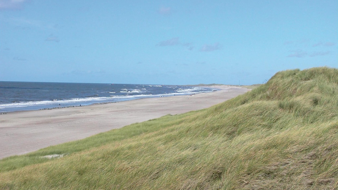 Photo of Others in Hvide Sande
