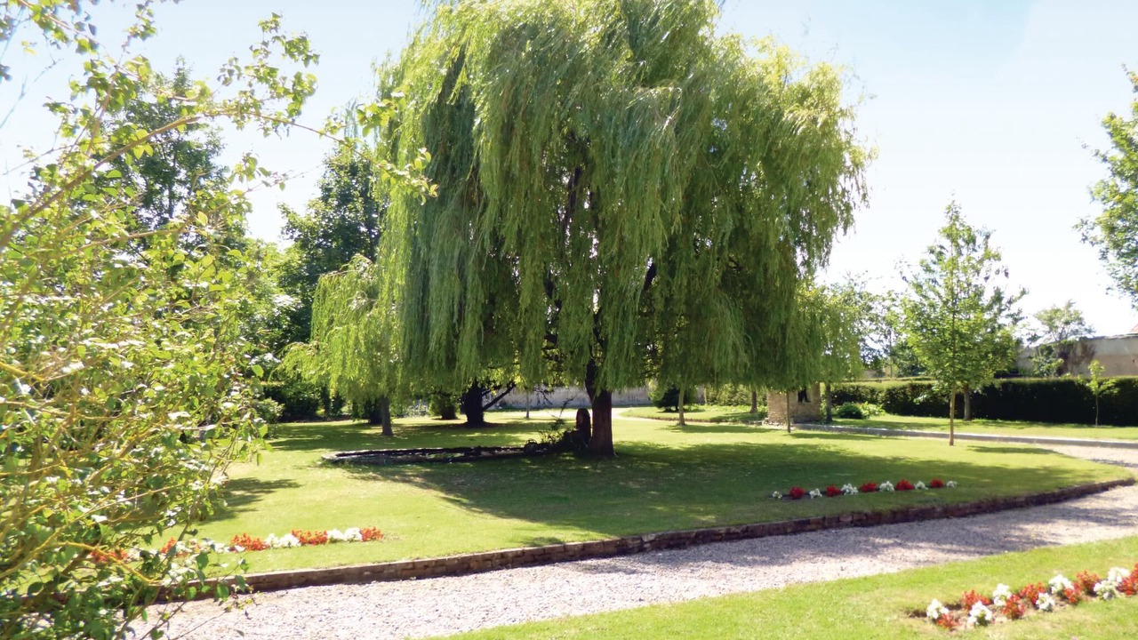 Photo of Others in Chicheboville