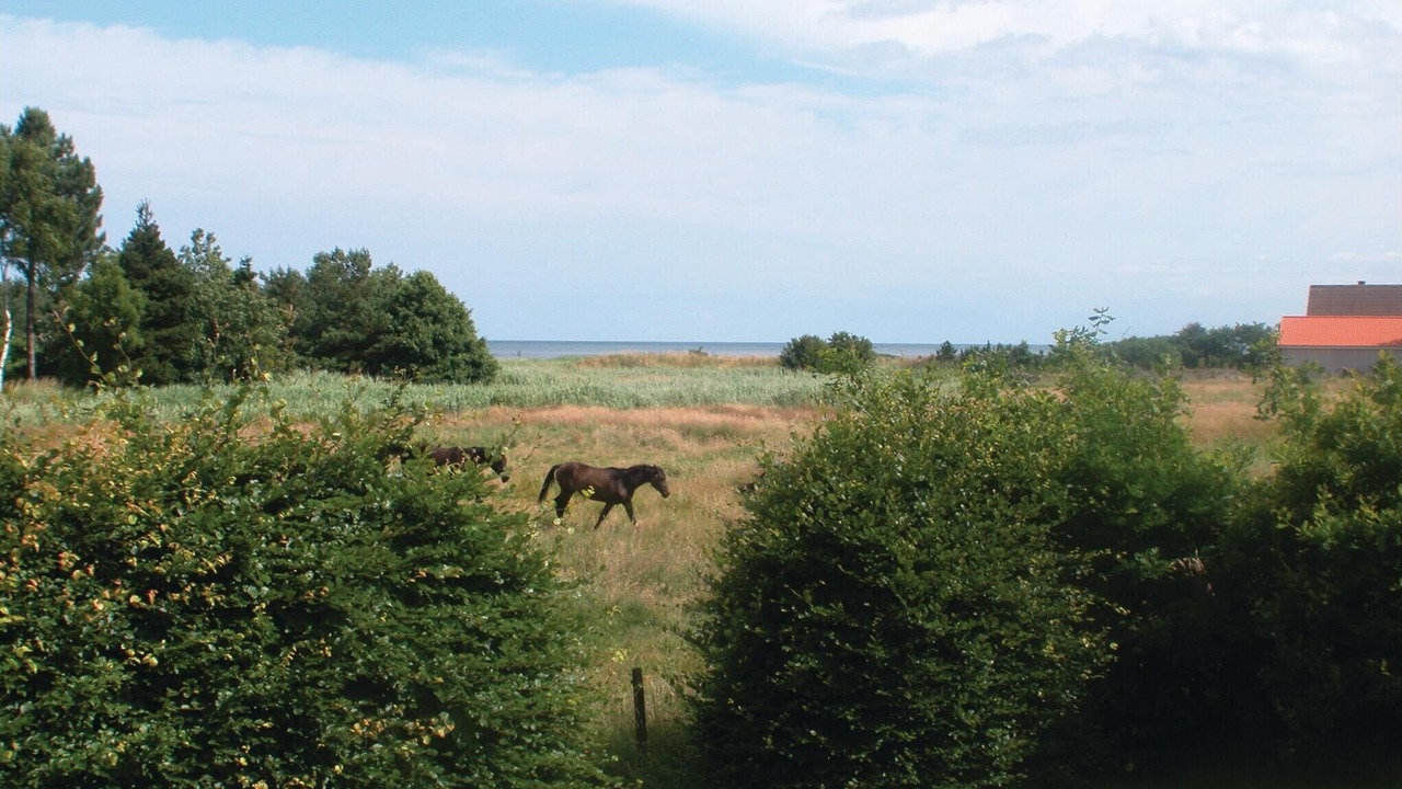 Photo of Bedroom in Haslevgarde