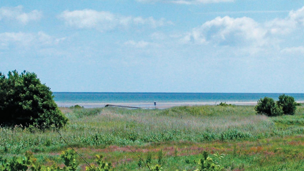 Photo of Others in Haslevgarde