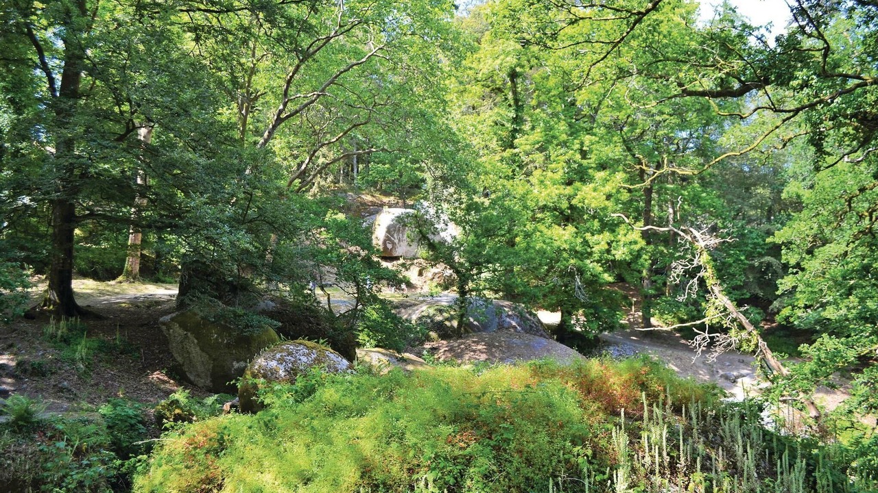 Photo of Others in Le Cloitre-Saint-Thegonnec
