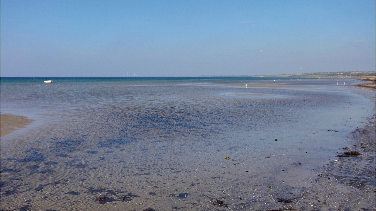 Photo of Others in Grlev