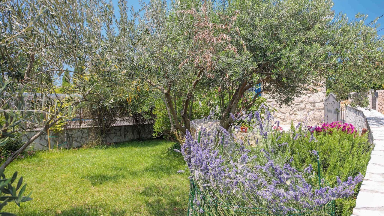 Photo of Outdoor in Brzac