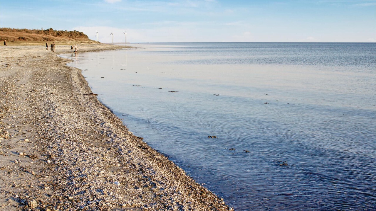 Photo of Others in Øer Strand