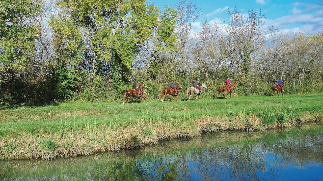 Photo of Others in Aigues-Mortes