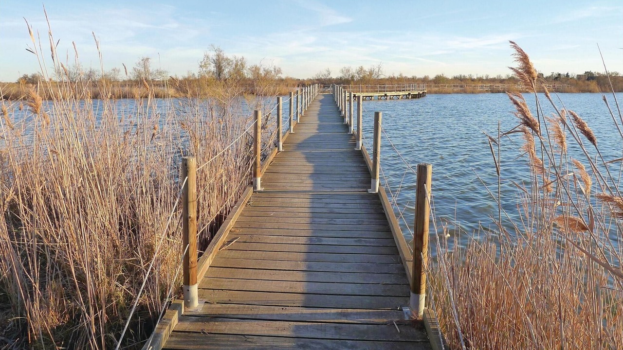 Photo of Others in Aigues-Mortes