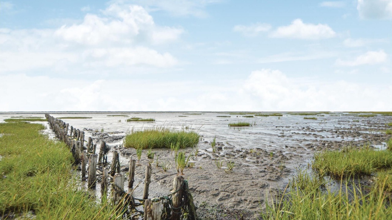 Photo of Others in Bredebro