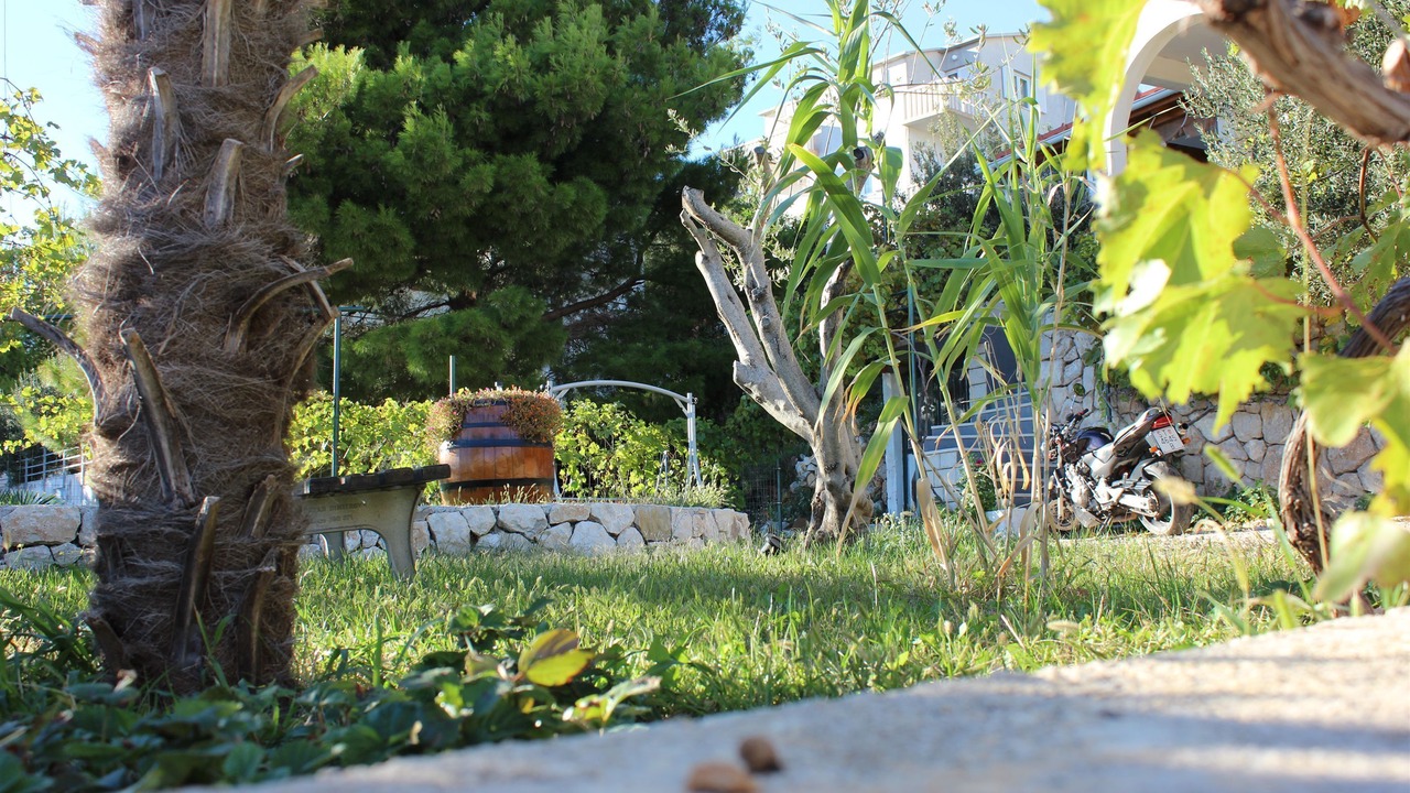 Photo of Outdoor in Stanici