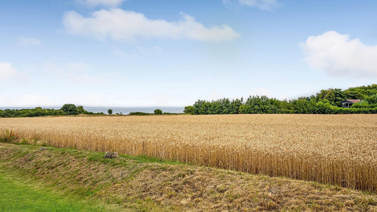 Photo of Others in Nordborg