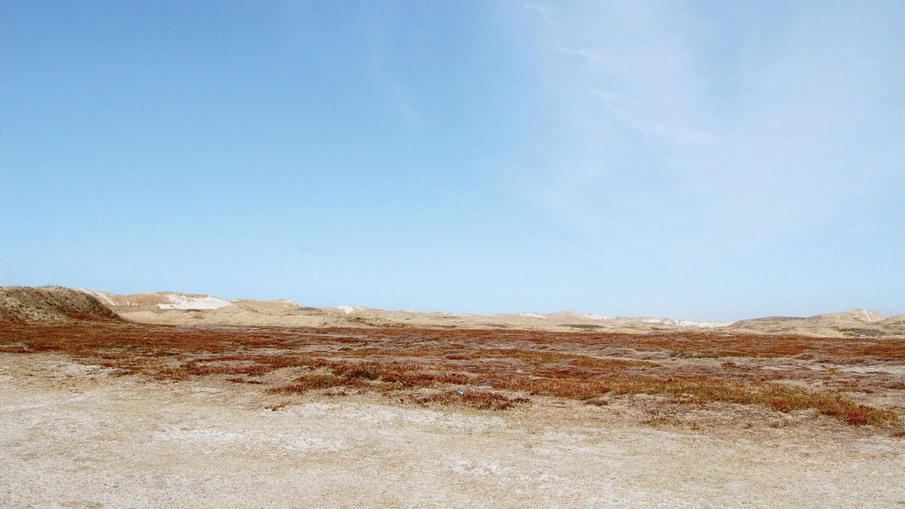 Photo of Others in Hvide Sande