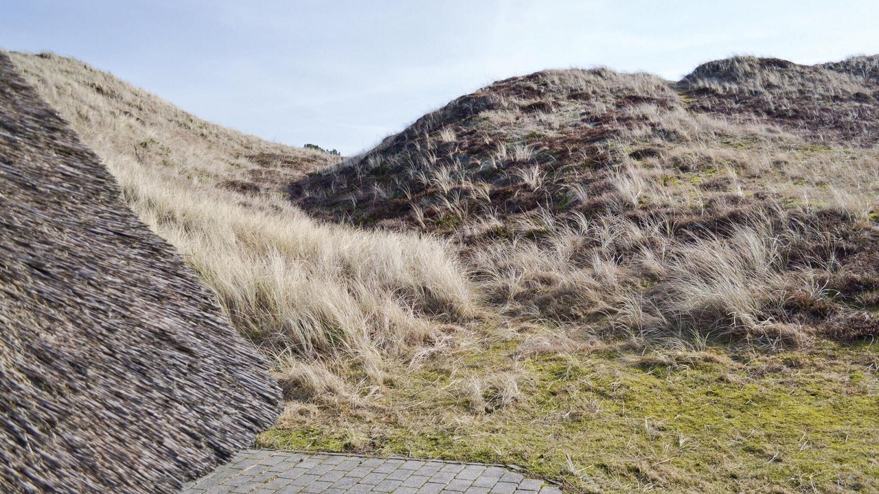 Photo of Others in Hvide Sande