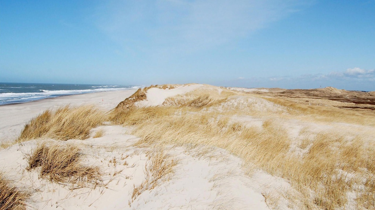 Photo of Others in Hvide Sande