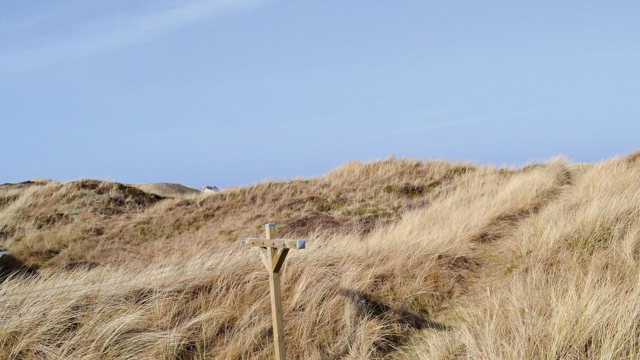 Photo of Others in Hvide Sande