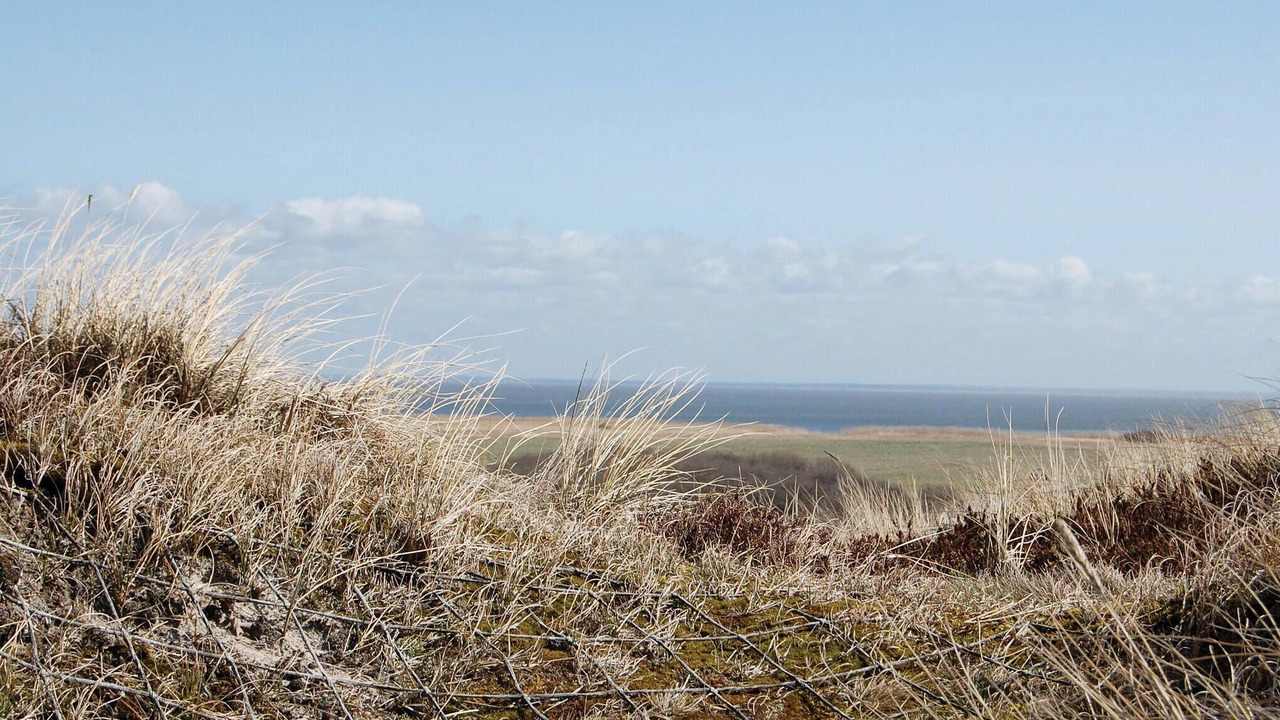 Photo of Others in Hvide Sande