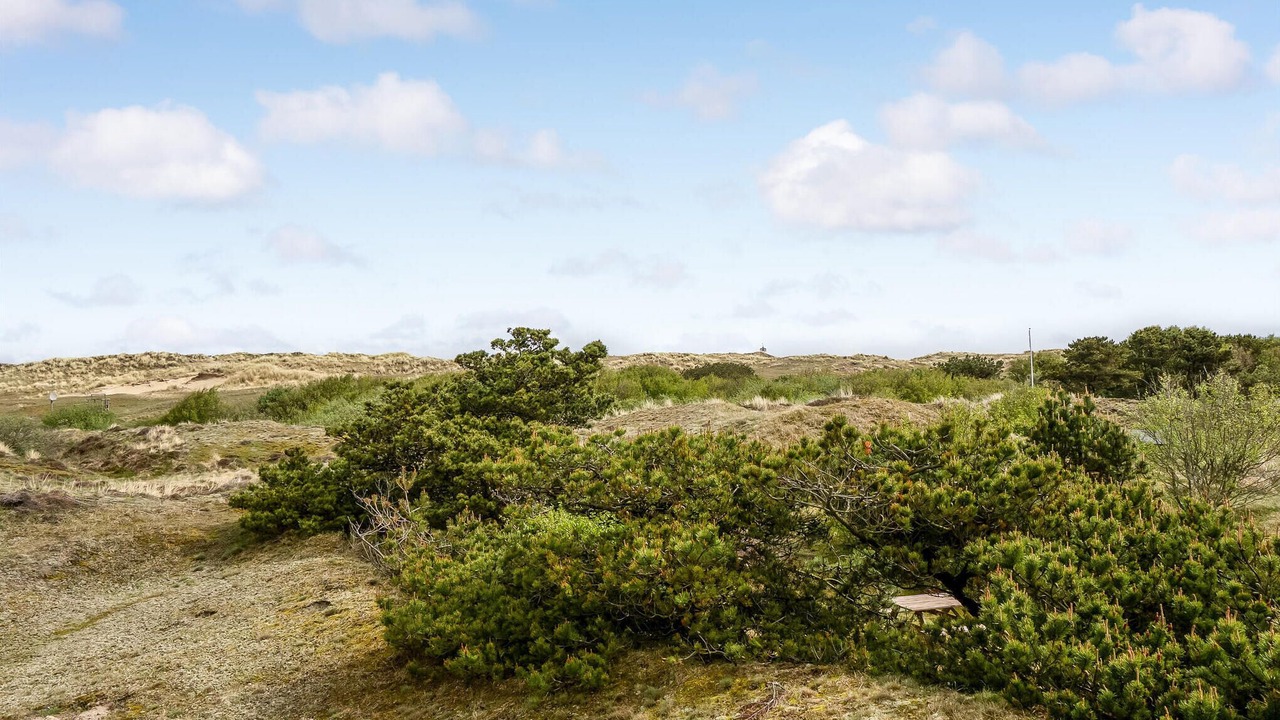 Photo of Others in Sønderho